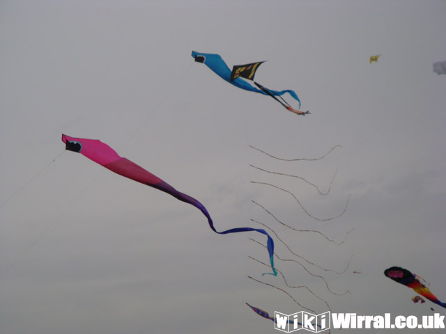 Attached picture Kite 8.jpg